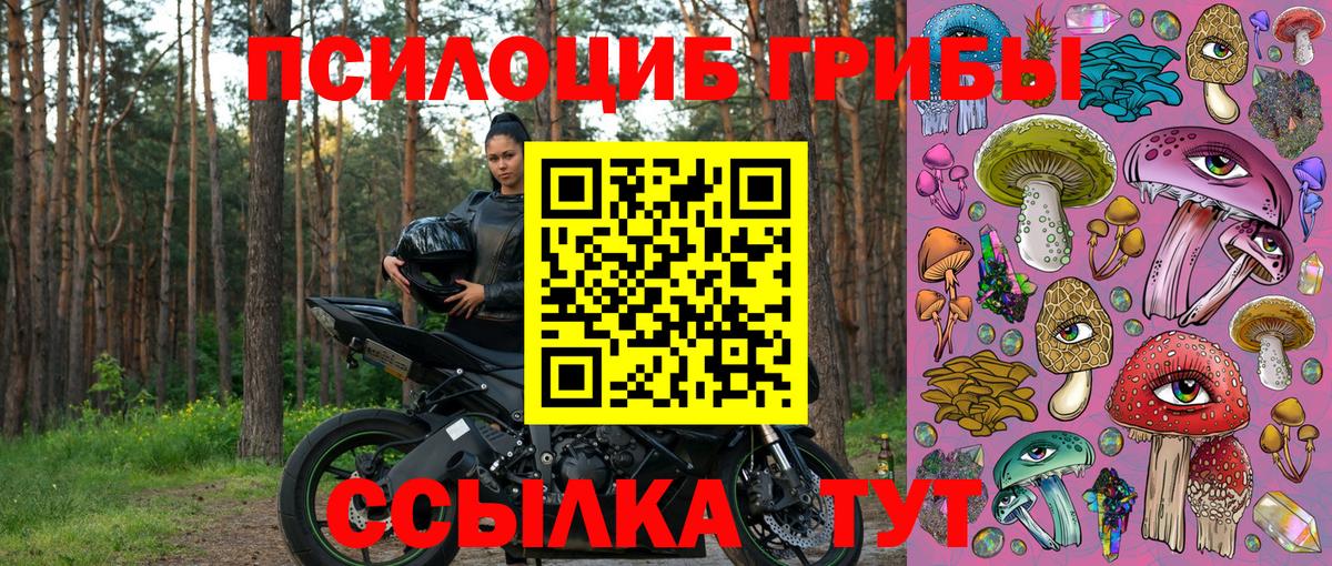 Галлюциногенные грибы мухоморы  Вход с VPN  Топки 